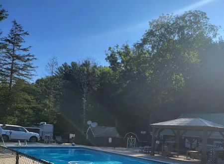Treetopia Airstream Hotel and RV Campground