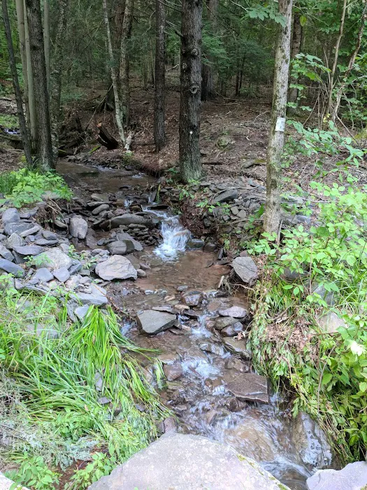 Camp Tri-Mount Picture 10