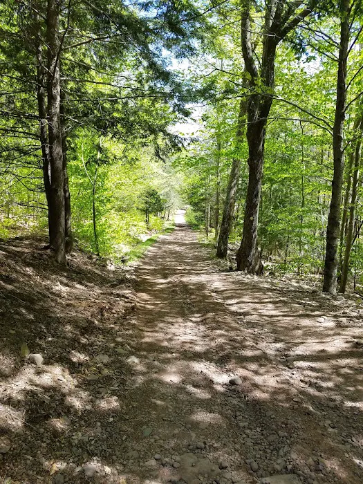Camp Tri-Mount Picture 9