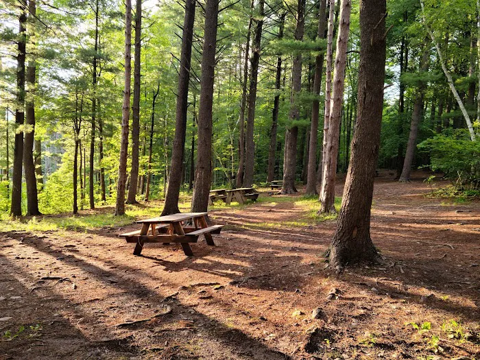 Whip-O-Will Campground Picture 6