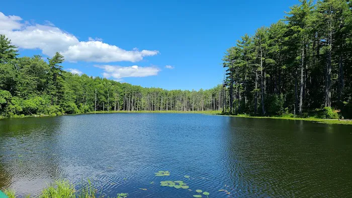 Whip-O-Will Campground Picture 7