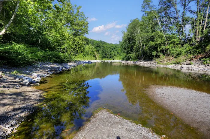 Wild Hudson Valley Picture 4