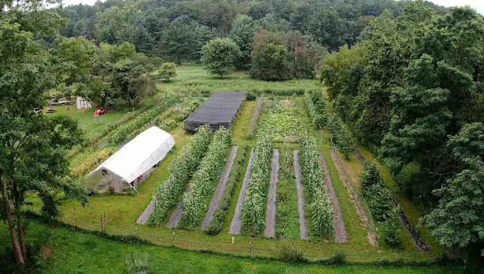 Wild Hudson Valley Picture 7