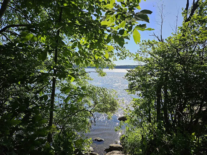 Point Folly Picture 1