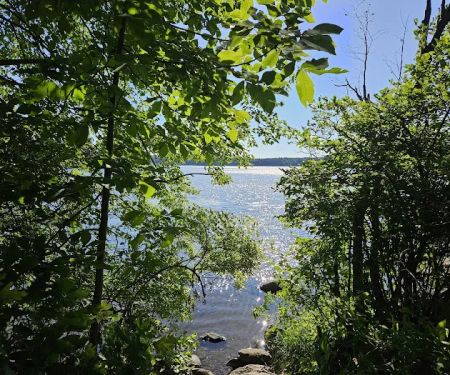 Point Folly