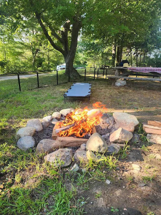 White Memorial Family Campground Picture 5