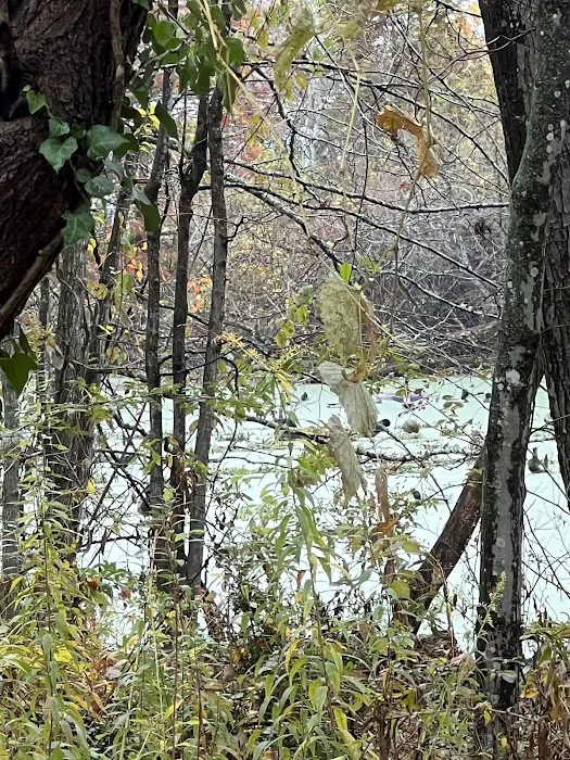 Seven Springs Estate Picture 1