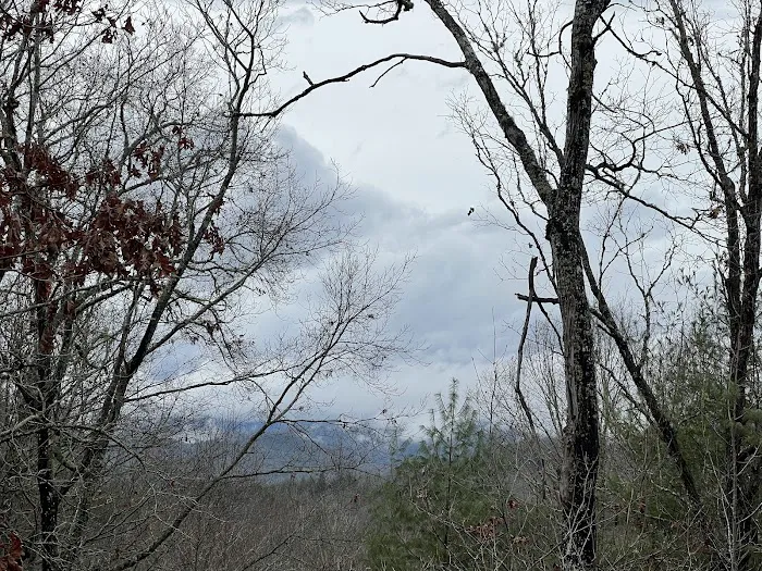 Seven Springs Estate Picture 2