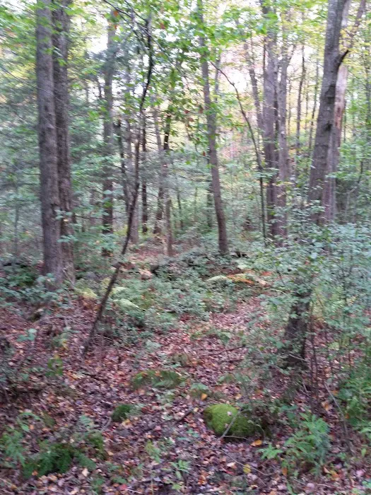 Camp Cochipianee Picture 4