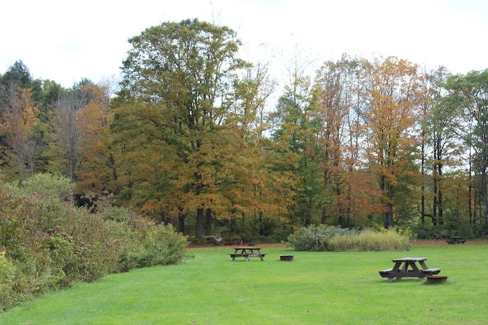 Stratton Falls Campground Picture 9