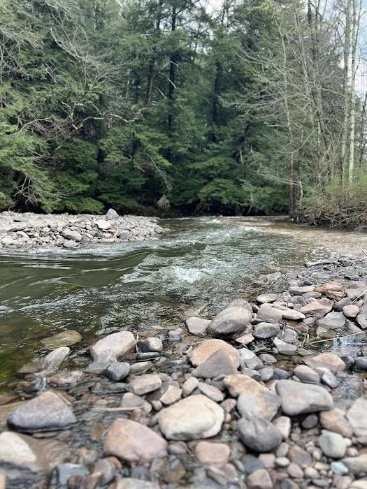 Stratton Falls Campground Picture 7