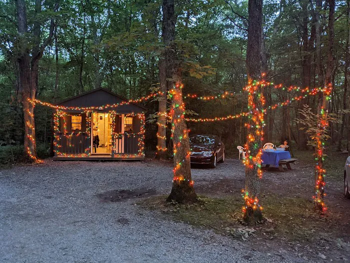 The Woods Camping Resort Picture 10