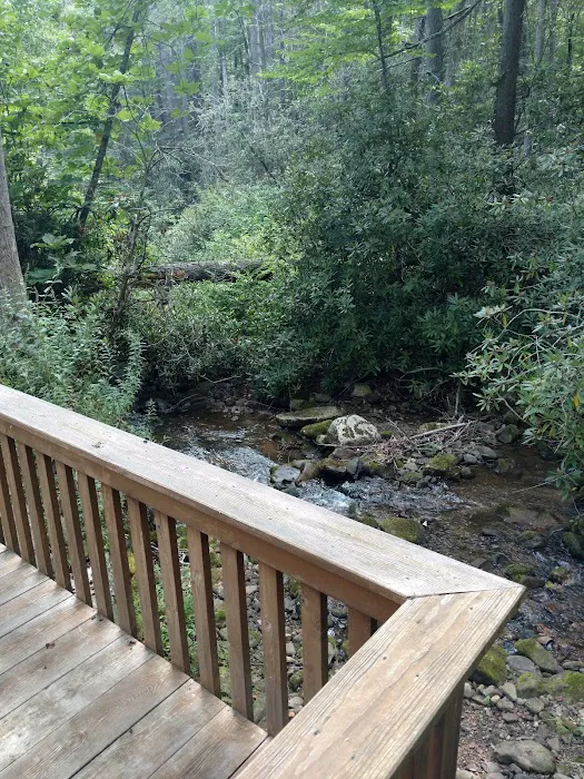 Cozy Creek (Creekside Cottage) Picture 5