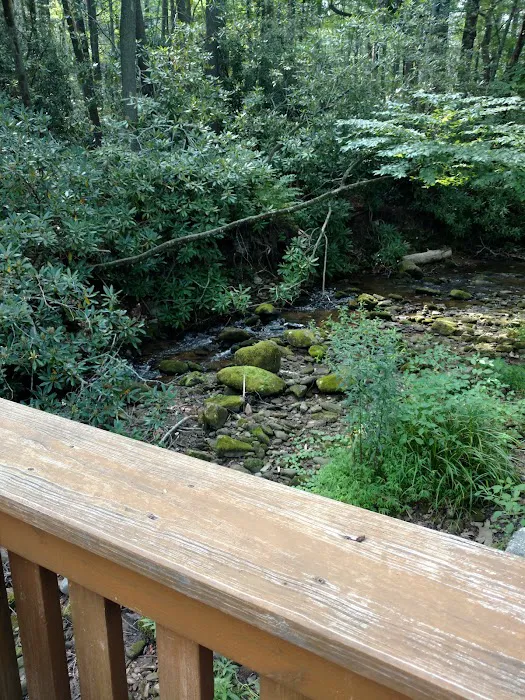 Cozy Creek (Creekside Cottage) Picture 6
