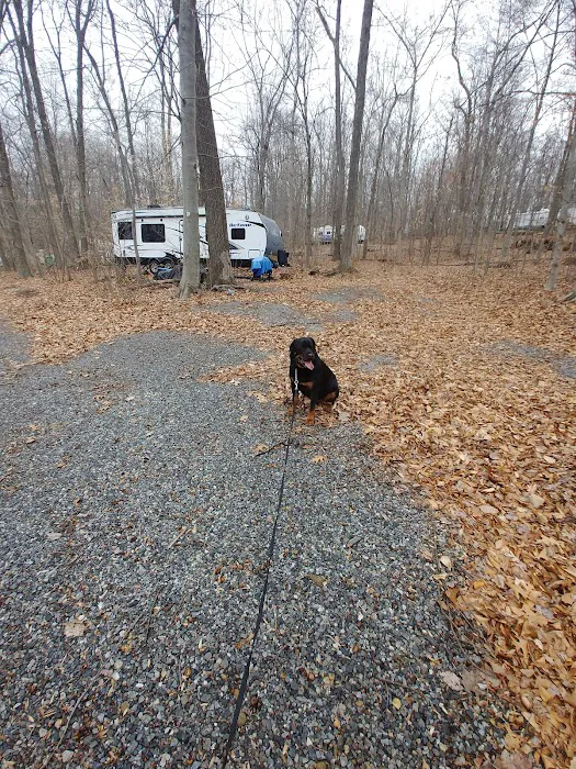Birchview Farm Campgrounds Picture 3