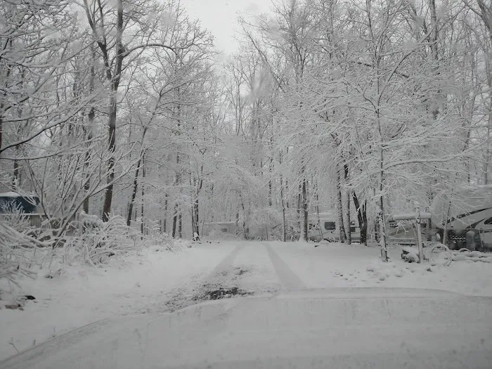 Birchview Farm Campgrounds Picture 4