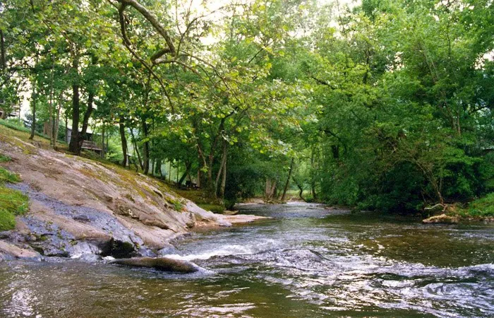 Mountain Springs Cabins Picture 1