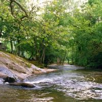 Mountain Springs Cabins ico