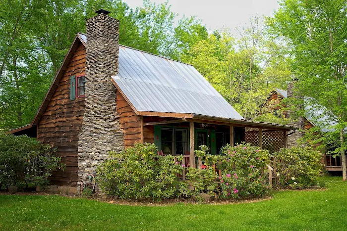 Mountain Springs Cabins Picture 3