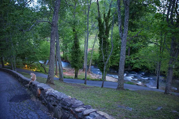 Mountain Springs Cabins Picture 6