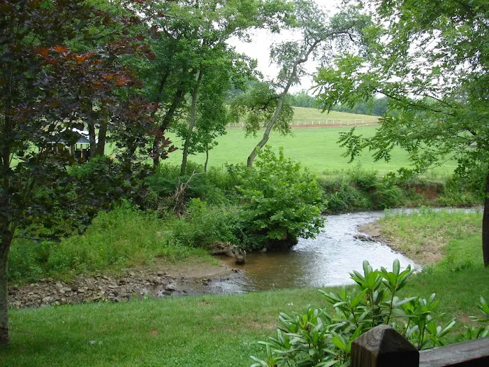 Mountain Springs Cabins Picture 5