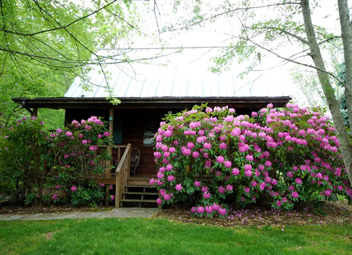 Mountain Springs Cabins Picture 8
