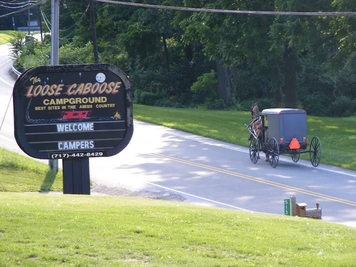 The Loose Caboose Campground Picture 2