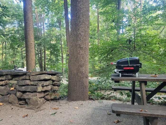 The Loose Caboose Campground Picture 6