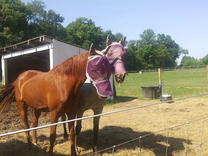 Hip Camp At Bellview Farm Picture 1