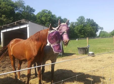 Hip Camp At Bellview Farm