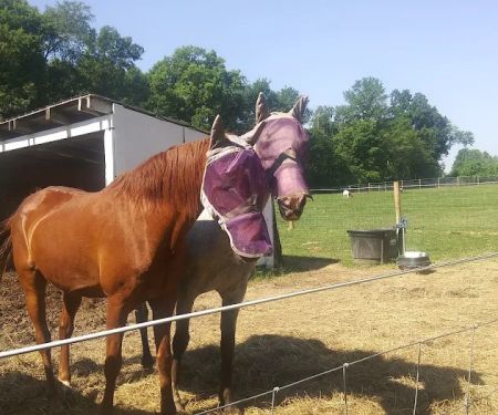 Hip Camp At Bellview Farm