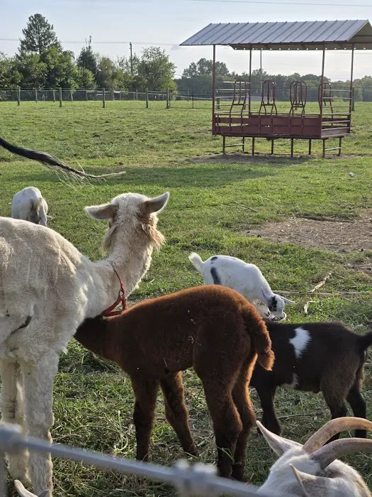 Hip Camp At Bellview Farm Picture 5
