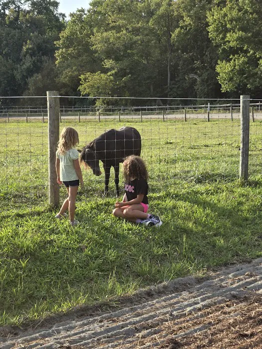 Hip Camp At Bellview Farm Picture 7