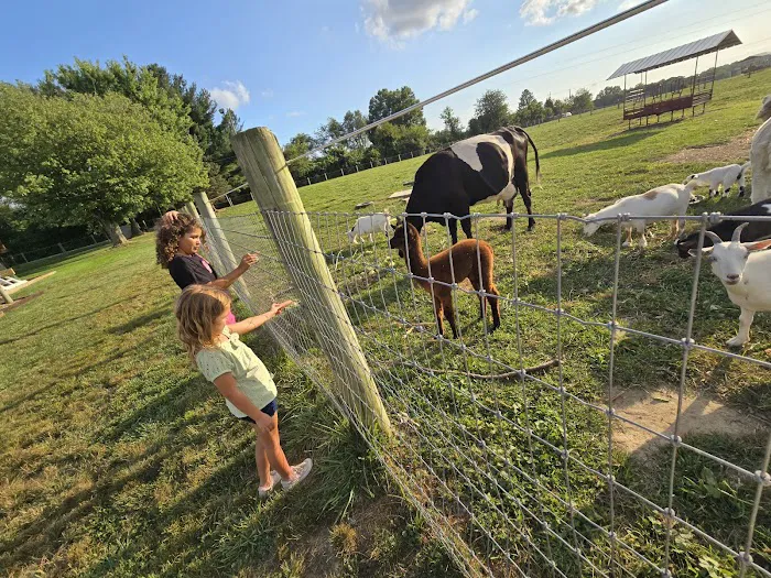 Hip Camp At Bellview Farm Picture 8