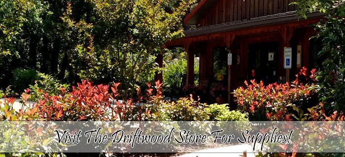 Driftwood Too! Camping Resorts Picture 6