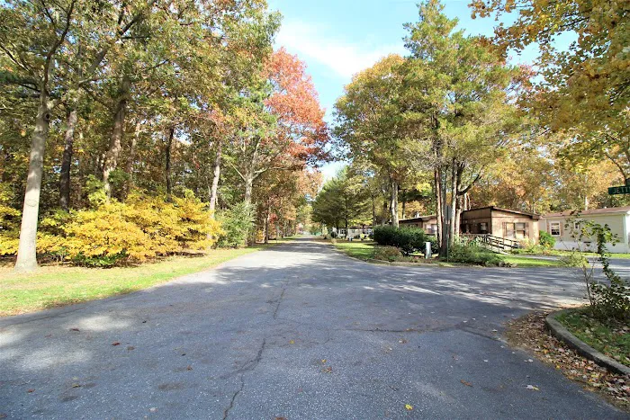 Oak Forest Mobile Home Park Picture 5