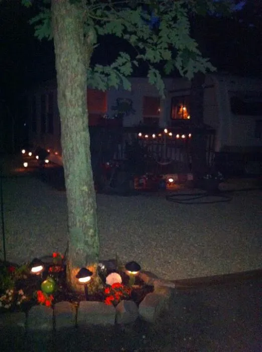 Red Oak Shores Campground Picture 3