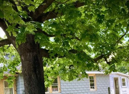 Candlewood Mobile Homes