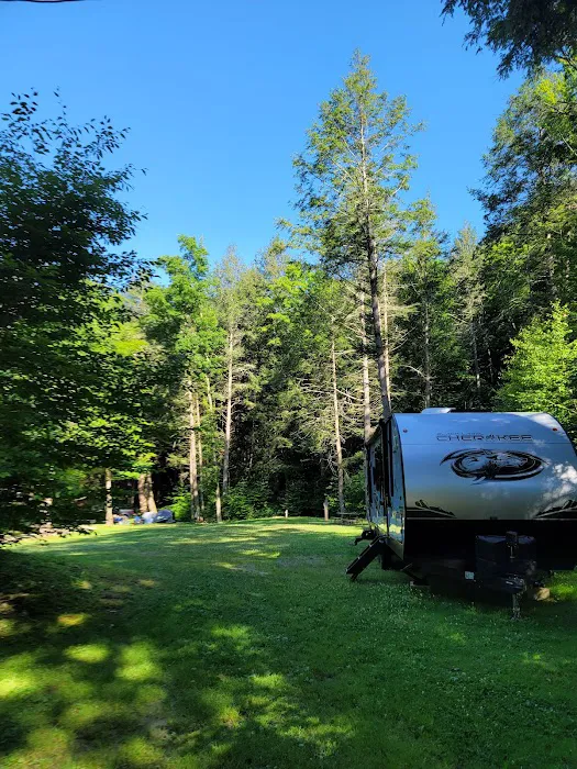 Russell Brook Campsites Picture 4