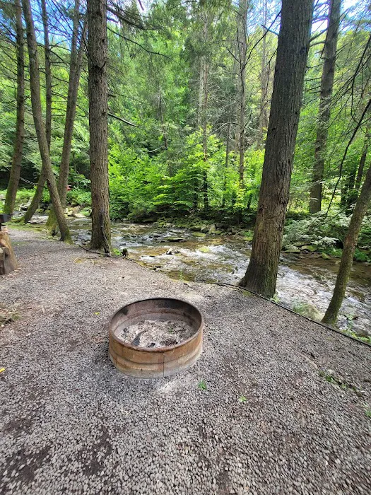 Russell Brook Campsites Picture 7