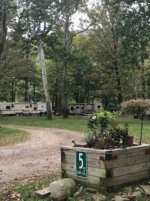Butternut Grove Campsite Picture 5