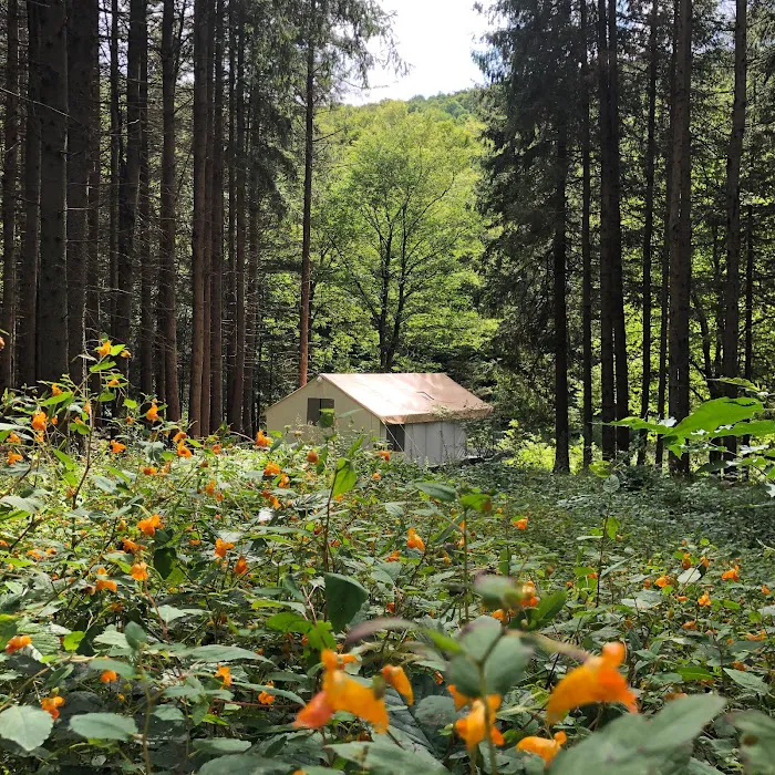 Wolf Hollow Camp Picture 5