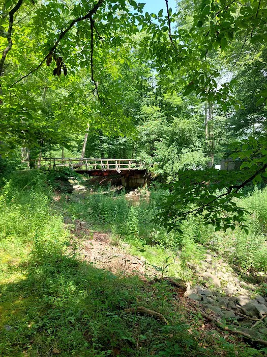 Pleasant Valley Campground Picture 5
