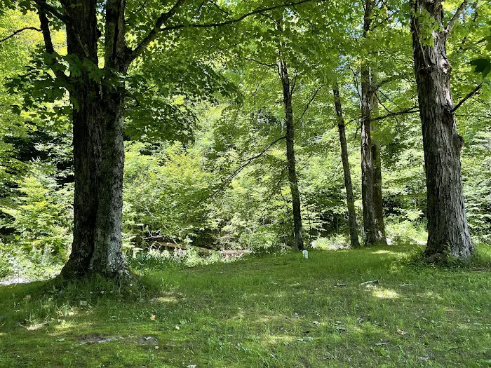 Pleasant Valley Campground Picture 6