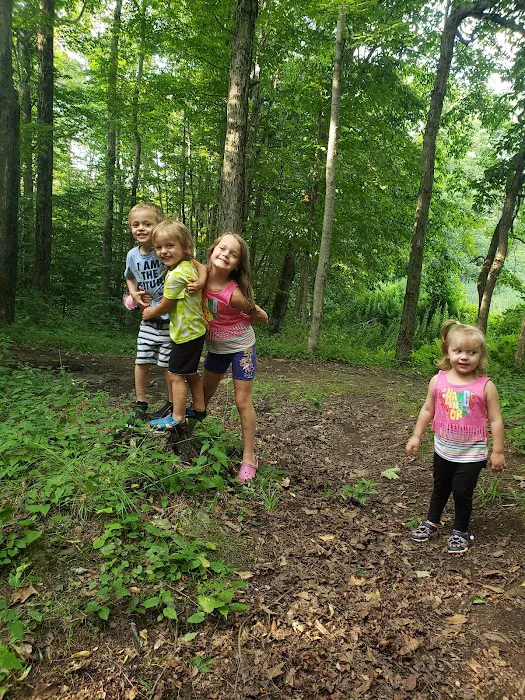 Valleyview Farm & Campgrounds Picture 9