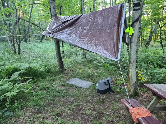 Shady Rest Campground Picture 5