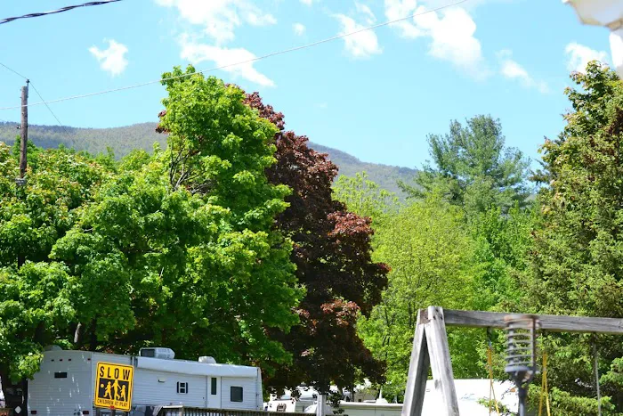 Doherty's Mountain View Campground Picture 1