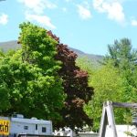 Doherty's Mountain View Campground