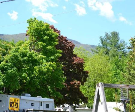 Doherty's Mountain View Campground