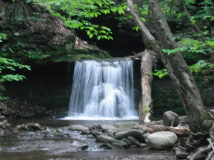 Doherty's Mountain View Campground Picture 4